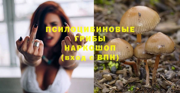 COCAINE Покачи